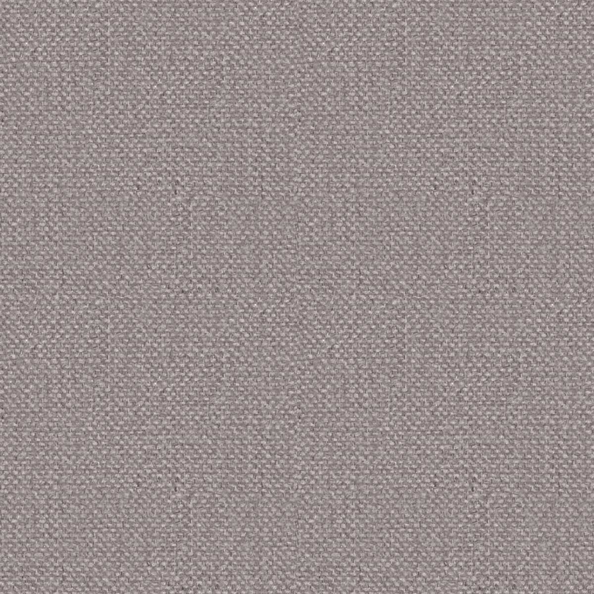 Klee Col. 5507